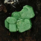 Torbernite
Crystal 1.5 mm
(Autor: Cesar M. Salvan)