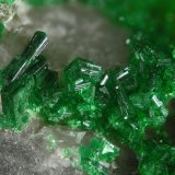 Torbernite
FOV 5 mm
(Autor: Cesar M. Salvan)