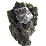 Galena
Specimen height 4 cm, galena crystal 1,5 cm
(Autor: Tobi)