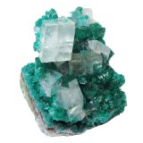 Calcite on dioptase
Specimen height 2,5 cm, large calcite 1 cm
(Autor: Tobi)