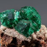 Dioptase
25 x 30 mm
(Autor: Martin Rich)