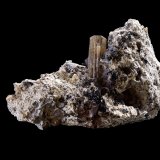 Tuscanite with Spinel
(Autor: MIM Museum)