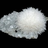 Natrolite
5.8 x 3.3 cm
(Autor: Frank Imbriacco)