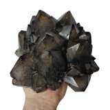 Quartz (variety smoky quartz)
Specimen size 18 x 16 cm, largest crystals 6 cm
(Autor: Tobi)