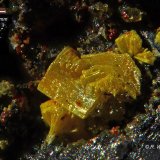 Valentinite
< 1 mm
(Autor: Roger Warin)