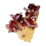 Vanadinite
Specimen size 3 cm, largest vanadinite 1 cm
(Autor: Tobi)