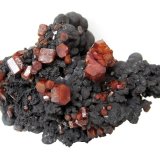 Vanadinite, Goethite
Specimen size 10 cm, largest crystal 1,3 cm
(Autor: Tobi)