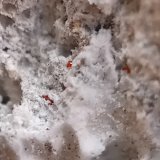 Bismoclite
0.1-0.4 mm
(Autor: mineralenzo)