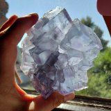Fluorite
La Viesca Mine, La Collada mining area, Huergo, Siero, Comarca Oviedo, Principality of Asturias (Asturias), Spain
10,5 x 9 cm
(Autor: Tobi)