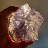 Fluorite
La Viesca Mine, La Collada mining area, Huergo, Siero, Comarca Oviedo, Principality of Asturias (Asturias), Spain
10,5 x 9 cm
(Autor: Tobi)