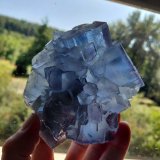 Fluorite
La Viesca Mine, La Collada mining area, Huergo, Siero, Comarca Oviedo, Principality of Asturias (Asturias), Spain
10,5 x 9 cm
(Autor: Tobi)