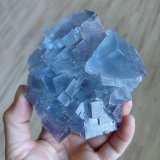 Fluorite
La Viesca Mine, La Collada mining area, Huergo, Siero, Comarca Oviedo, Principality of Asturias (Asturias), Spain
10,5 x 9 cm
(Autor: Tobi)
