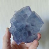 Fluorite
La Viesca Mine, La Collada mining area, Huergo, Siero, Comarca Oviedo, Principality of Asturias (Asturias), Spain
10,5 x 9 cm
(Autor: Tobi)