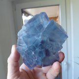 Fluorite
La Viesca Mine, La Collada mining area, Huergo, Siero, Comarca Oviedo, Principality of Asturias (Asturias), Spain
10,5 x 9 cm
(Autor: Tobi)