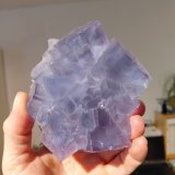 Fluorite
La Viesca Mine, La Collada mining area, Huergo, Siero, Comarca Oviedo, Principality of Asturias (Asturias), Spain
10,5 x 9 cm
(Autor: Tobi)