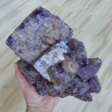 Fluorite
Weardale, North Pennines Orefield, County Durham, England / United Kingdom
Specimen size 24 cm, largest crystal 11 cm
(Autor: Tobi)