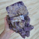 Fluorite
Weardale, North Pennines Orefield, County Durham, England / United Kingdom
Specimen size 24 cm, largest crystal 11 cm
(Autor: Tobi)