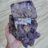 Fluorite
Weardale, North Pennines Orefield, County Durham, England / United Kingdom
Specimen size 24 cm, largest crystal 11 cm
(Autor: Tobi)