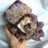 Fluorite, chalcopyrite
Specimen size 24 x 16 cm, largest crystal 11 cm
(Autor: Tobi)