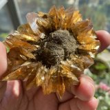 Gypsum
8.3 x 6.4 x 2.5 cm
(Autor: xdxucn)