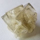 Fluorite
5cm
(Autor: colin robinson)