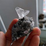 Whewellite
Specimen size 5,5 cm, crystal 2,5 cm
(Autor: Tobi)