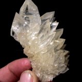 Calcite
Specimen size 8 cm, largest crystal 2,5 cm
(Autor: Tobi)