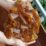 Fluorite
Specimen size 25 x 21 cm, largest crystal 5 cm
(Autor: Tobi)