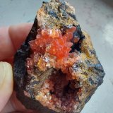 Rhodochrosite
Wolf Mine, Herdorf, Siegerland, Rhineland-Palatinate/Rheinland-Pfalz, Germany
Specimen size 6 cm
(Autor: Tobi)