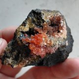 Rhodochrosite
Wolf Mine, Herdorf, Siegerland, Rhineland-Palatinate/Rheinland-Pfalz, Germany
Specimen size 6 cm
(Autor: Tobi)