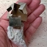 Pyrite
10x5x4 cm.
(Autor: supertxango)