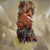 (Autor: h.abbasi)