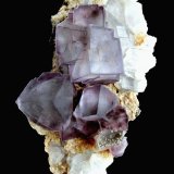 Fluorite, Quartz
Specimen size 12 cm, largest fluorite crystal 2,5 cm
(Autor: Tobi)