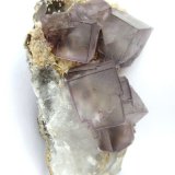 Fluorite, Quartz, Siderite
Specimen height 10 cm, largest fluorite 2,5 cm
(Autor: Tobi)