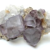 Fluorite, quartz, siderite (?)
Specimen size 12 cm, largest fluorite 2,4 cm
(Autor: Tobi)