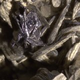 Zinnwaldite and Hematite (variety iron rose)
FOV 12 mm
(Autor: Adrian Pripoae)
