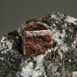 Zircon
1.5 cm the crystal
(Autor: Michael Shaw)