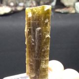 Zoisite
58 mm x 14 mm
(Autor: Sante Celiberti)