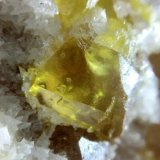 Sulphur with Calcite
Cm 0.4
(Autor: mineralenzo)