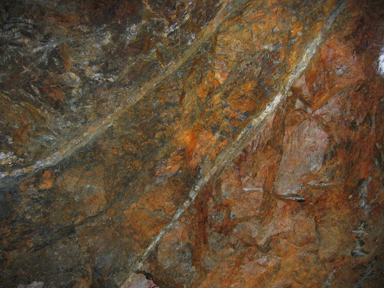 the mine 'drives' are up to many metres in size
(Autor: markbeckett)