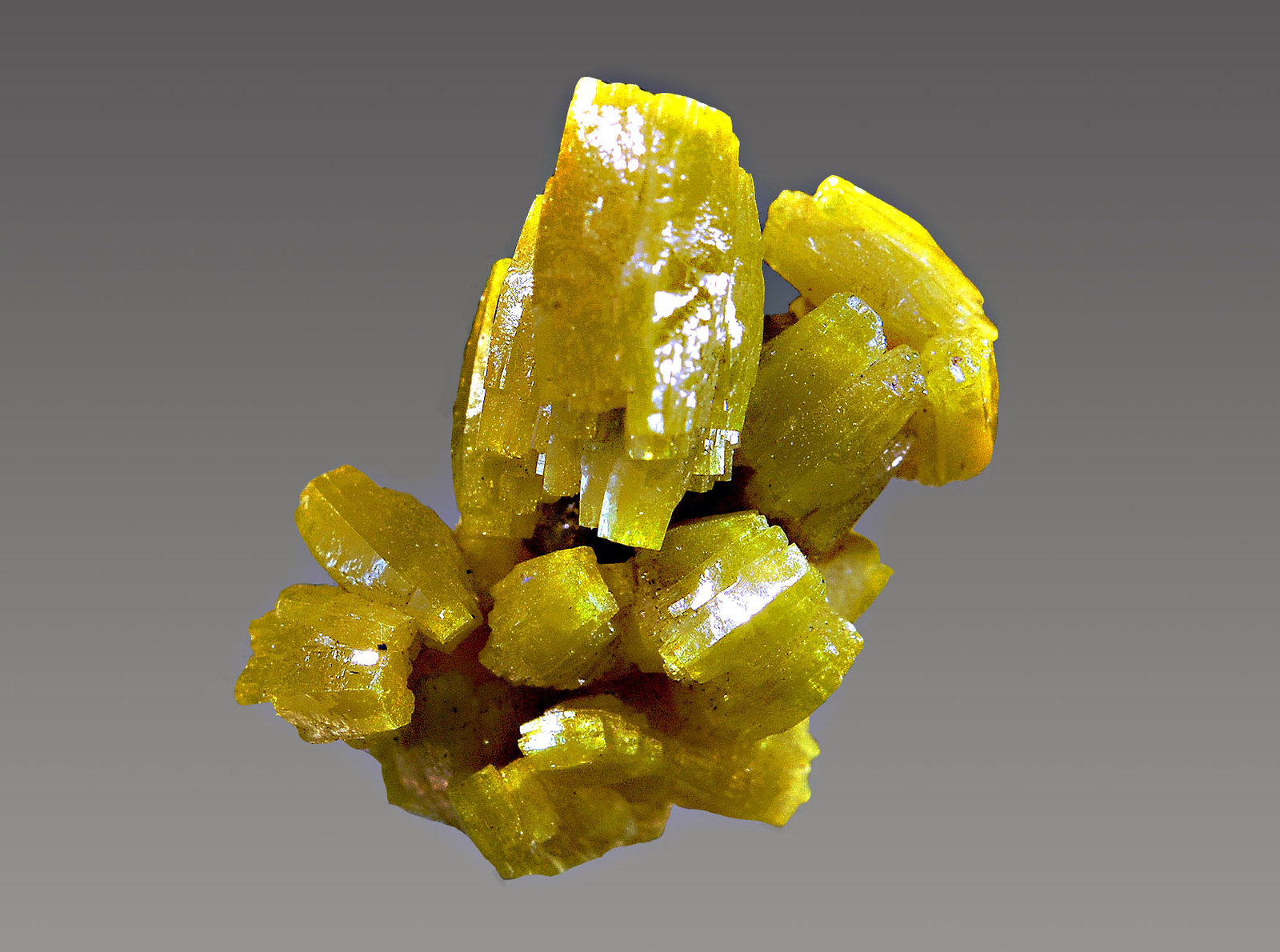 Pyromorphite
2.0 x 2.2 cm
(Autor: Michael Shaw)