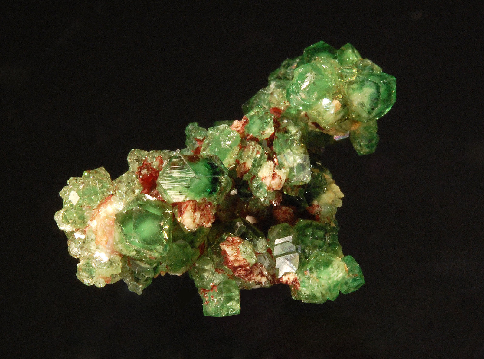 Grossular
1.5 x 2.0 cm
(Autor: Michael Shaw)