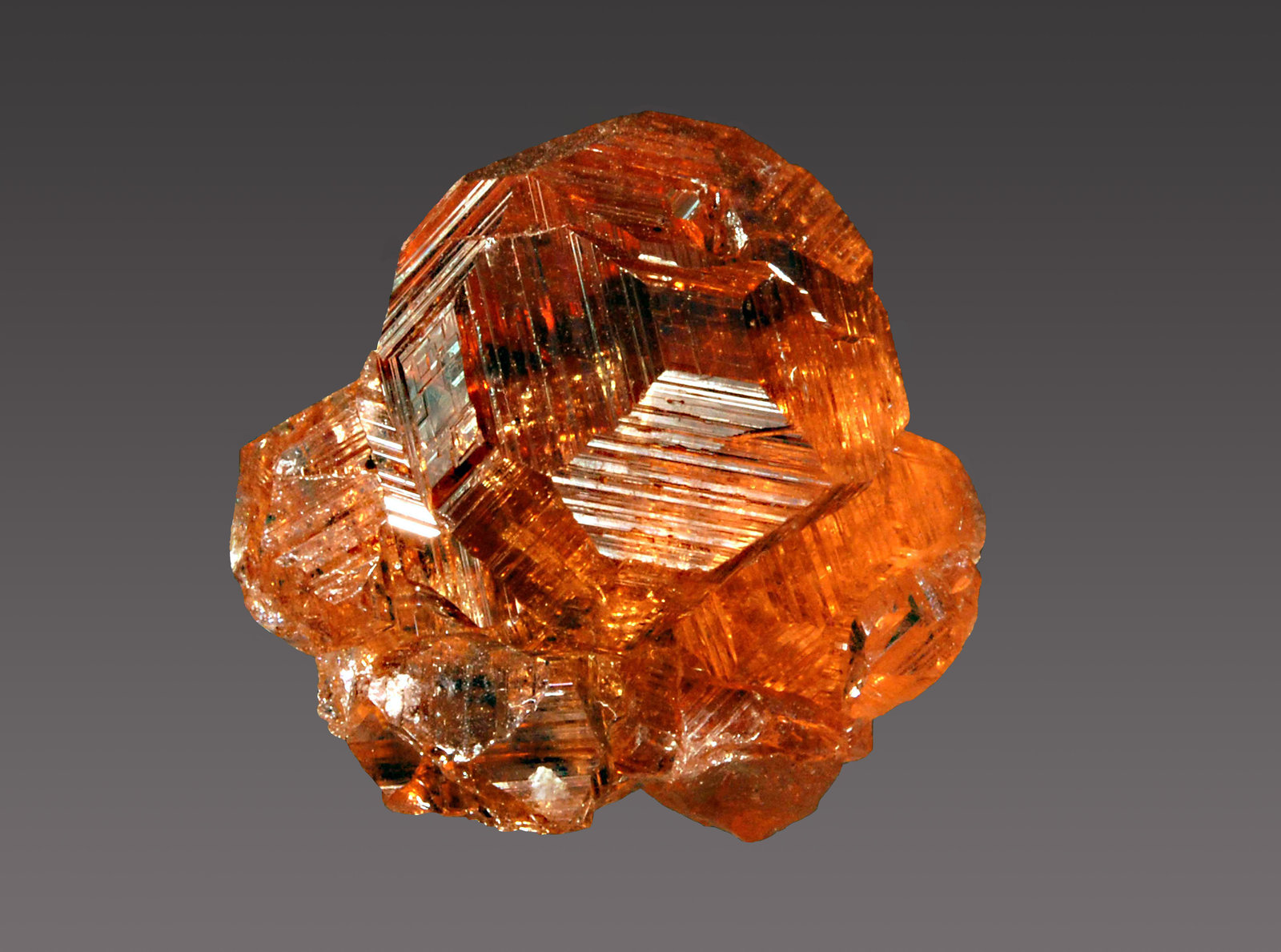 Grossular
1.6 x 1.8 cm
(Autor: Michael Shaw)