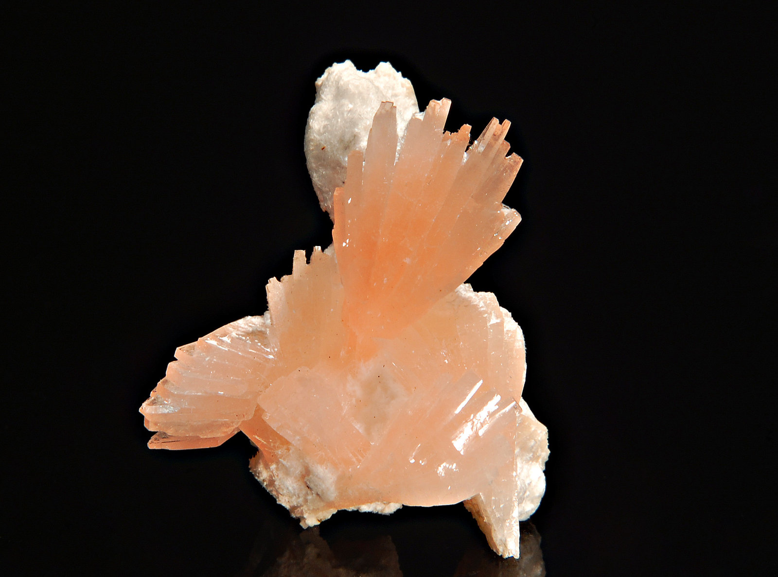 Heulandite
1.8 x 2.4 cm
(Autor: Michael Shaw)