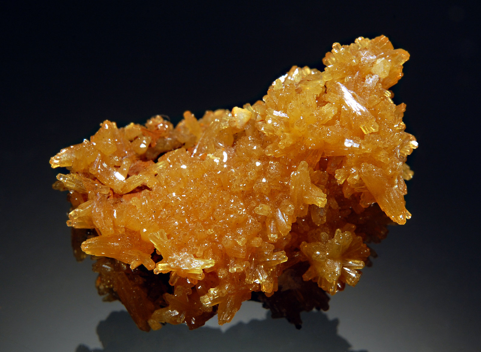 Pyromorphite
1.8 x 2.3 cm
(Autor: Michael Shaw)