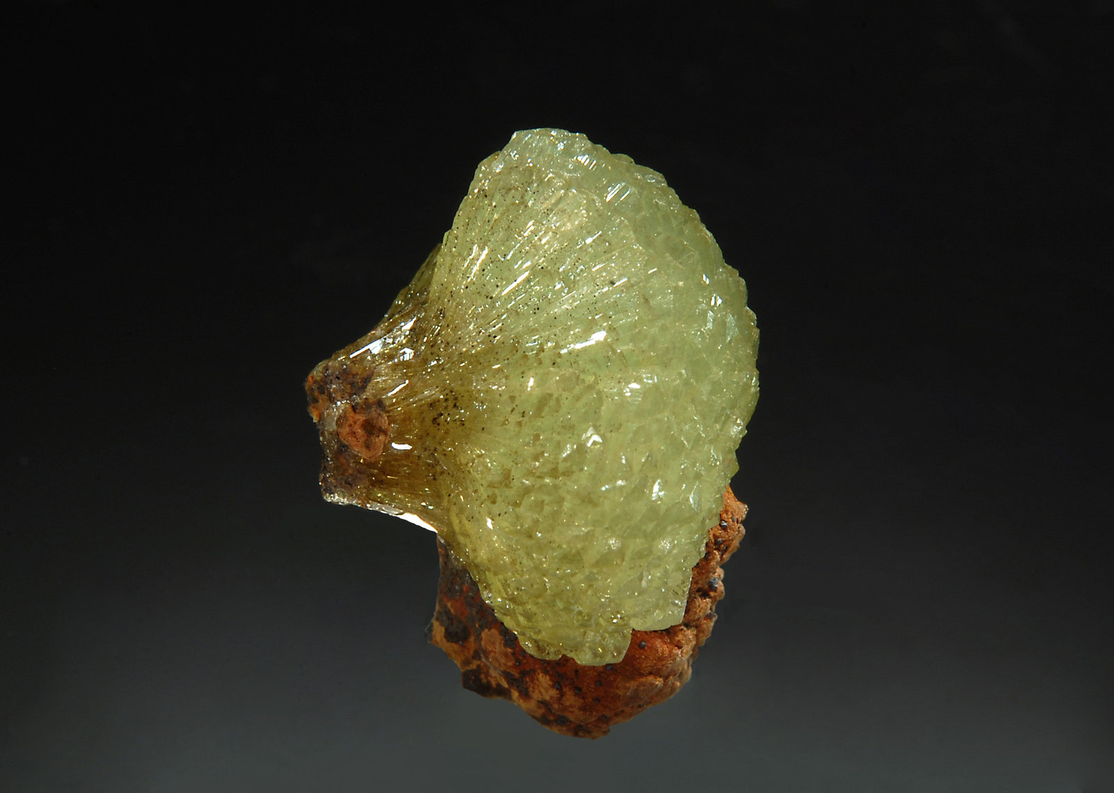 Adamite
1.8 x 2.3 cm
(Autor: Michael Shaw)