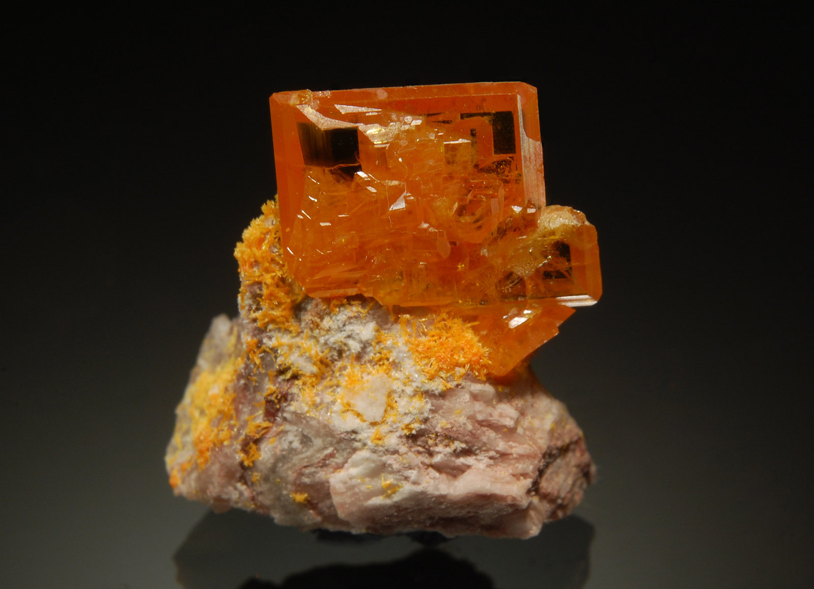 Wulfenite
2.1 cm in height
(Autor: Michael Shaw)