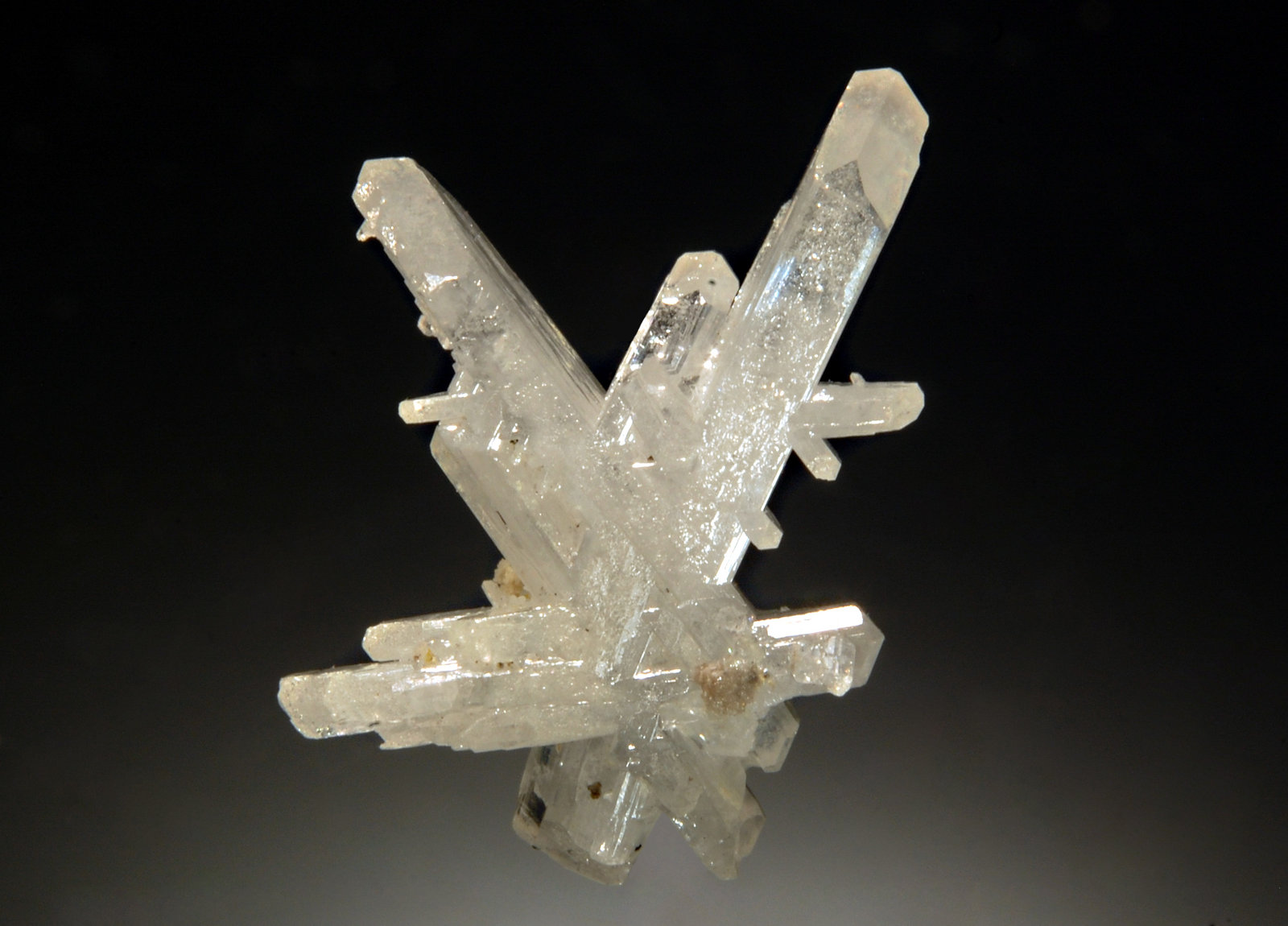 Cerussite
1.5 x 2.0 cm
(Autor: Michael Shaw)