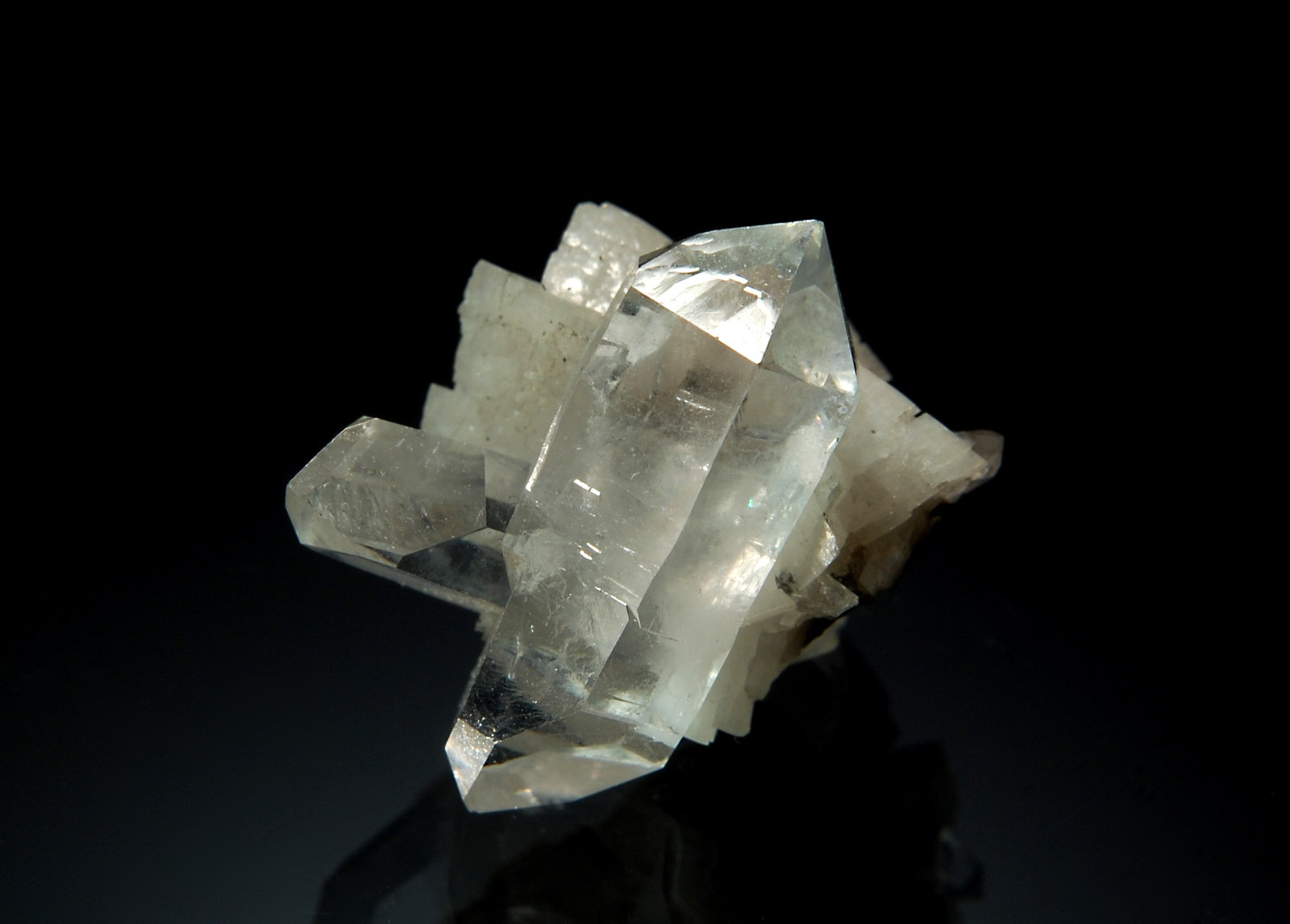 Quartz
1.6 x 2.0 cm
(Autor: Michael Shaw)