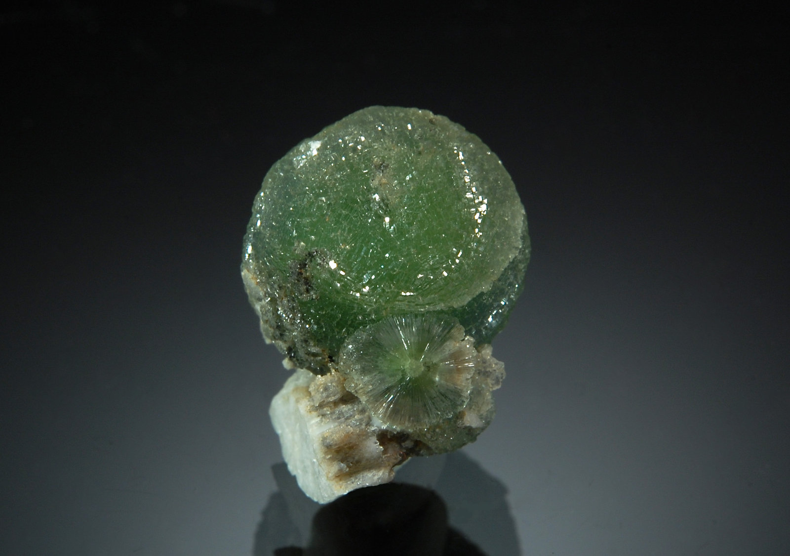 Wavellite
1.4 x 1.7 cm
(Autor: Michael Shaw)